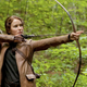 Illustration for article titled Make emThe Hunger Games/em Your Next Family Bonding Event